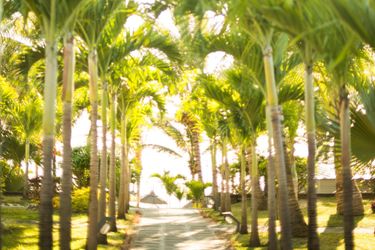 Hotel Veranda Palmar Beach:  MAURITIUS