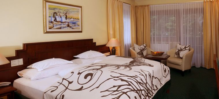 Sporthotel Manni Mayrhofen: Foto 