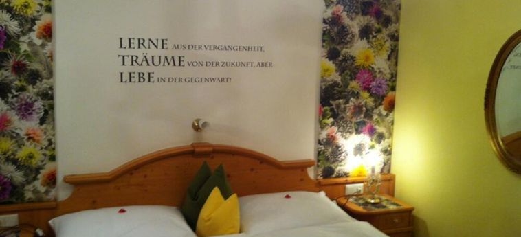 Alpin Hotel Garni Eder Private Living Mayrhofen: Foto 