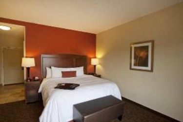 Hotel Hampton Inn & Suites Mcallen:  MCALLEN (TX)