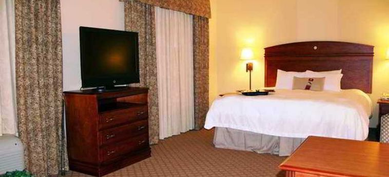 Hotel Hampton Inn & Suites Pharr:  MCALLEN (TX)