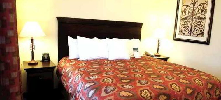 Hotel Homewood Suites By Hilton Mcallen:  MCALLEN (TX)