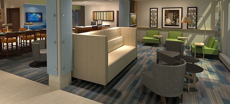 Hotel Holiday Inn Express & Suites Mcallen - Medical Center Area:  MCALLEN (TX)