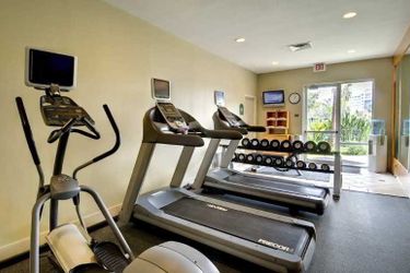 Hotel Hilton Garden Inn Mcallen Mcallen (Tx): Photo 