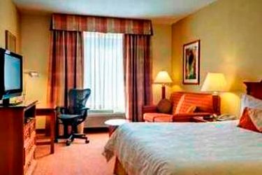 Hotel Hilton Garden Inn Mcallen Mcallen (Tx): Photo 
