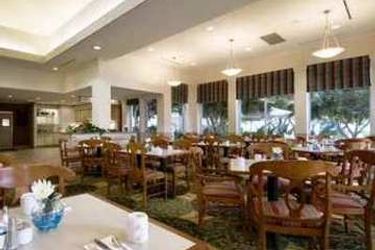 Hotel Hilton Garden Inn Mcallen Mcallen (Tx): Photo 
