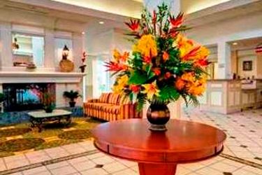 Hotel Hilton Garden Inn Mcallen Mcallen (Tx): Photo 