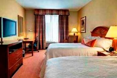 Hotel Hilton Garden Inn Mcallen Mcallen (Tx): Photo 