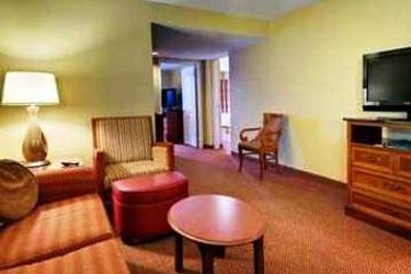 Hotel Hilton Garden Inn Mcallen Mcallen (Tx): Photo 