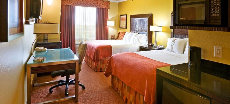 Hotel Holiday Inn & Suites Fairview:  MCKINNEY (TX)