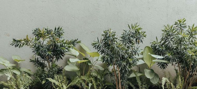 Hotel Wake Living Medellin: Foto 