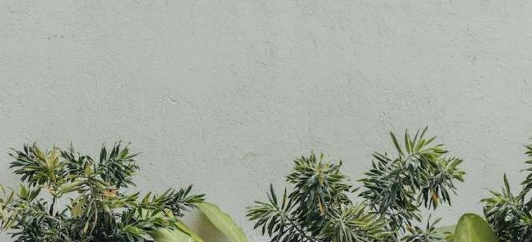 Hotel Wake Living Medellin: Foto 