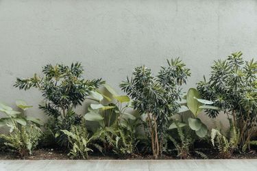 Hotel Wake Living Medellin: Photo 