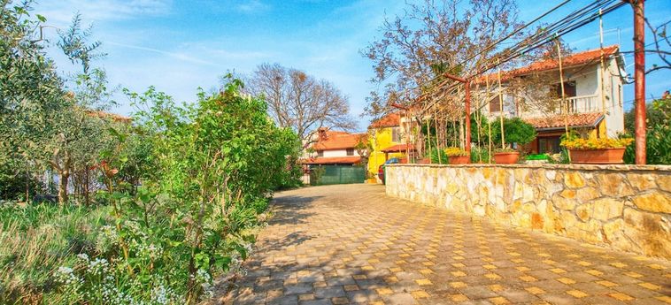 Apartment 1318 Medolino - Istria: Foto 