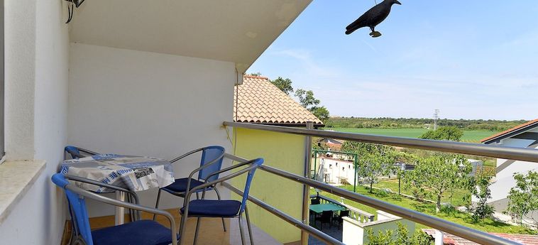 Apartment 1860:  MEDOLINO - ISTRIA
