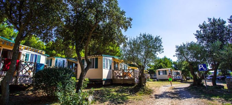 Hotel Indije Mobile Homes Medulin - Istrie : Photo 