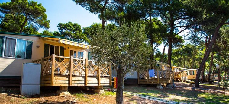 Hotel Indije Mobile Homes Medulin - Istrie : Photo 