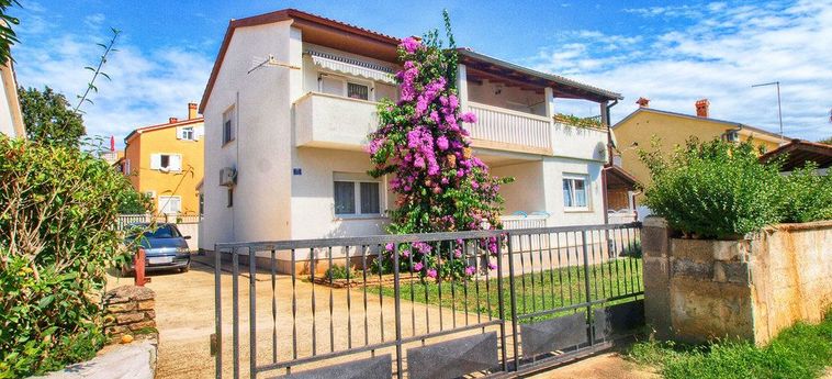 Apartment  Ana 405 Medulin - Istrie : Photo 