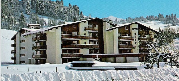 Residence Hoteliere Rent:  MEGEVE