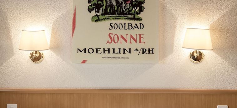 Hotel Meiringen Meiringen: Foto 