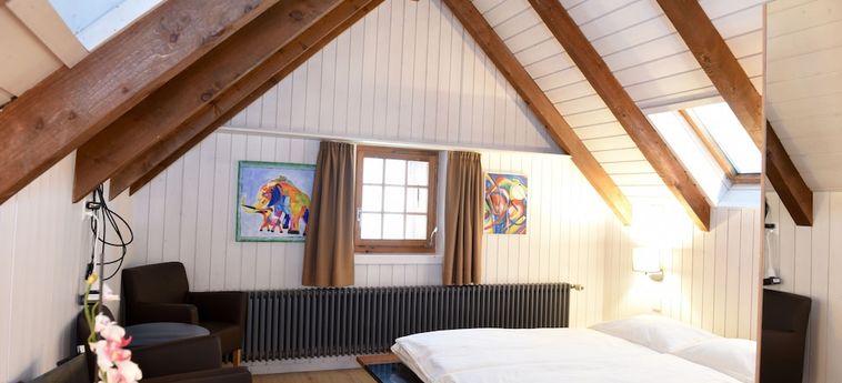 Hotel Digital Brünig Lodge 24 7 Meiringen: Foto 