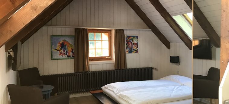 Hotel Digital Brünig Lodge 24 7 Meiringen: Foto 