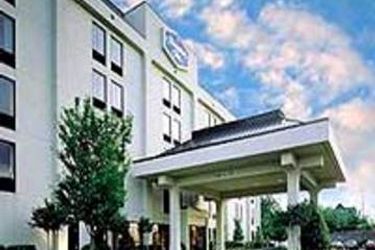Hotel Hampton Inn Memphis-Poplar:  MEMPHIS (TN)