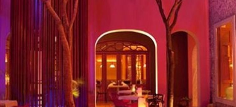 Rosas &Amp; Xocolate Boutique Hotel Merida: Foto 