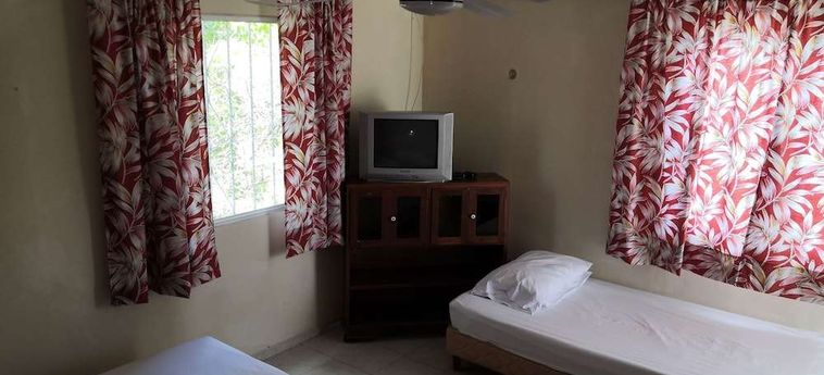 La Casa Del Turix Merida : Photo 