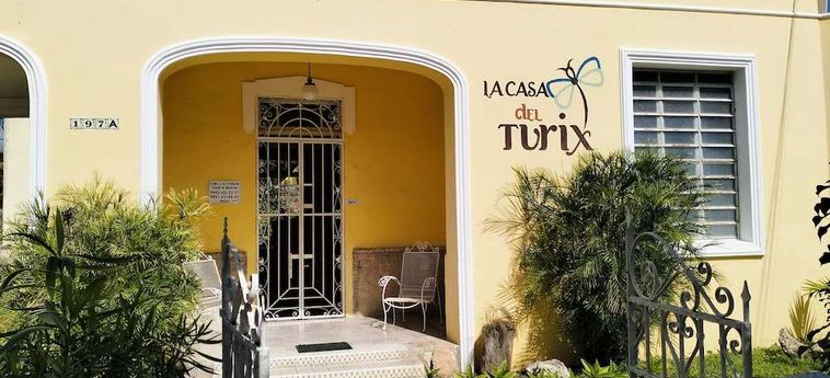 La Casa Del Turix Merida: Foto 