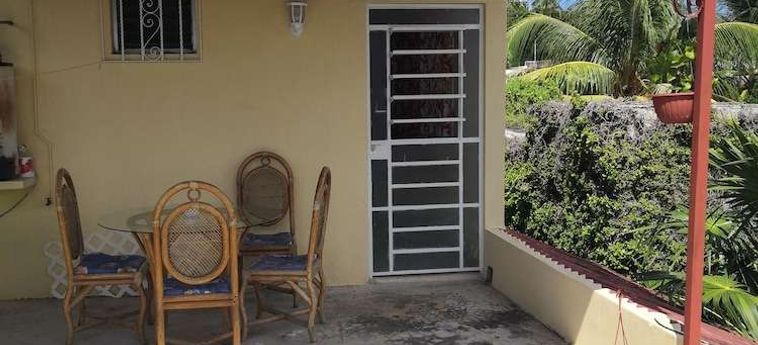La Casa Del Turix Merida: Foto 