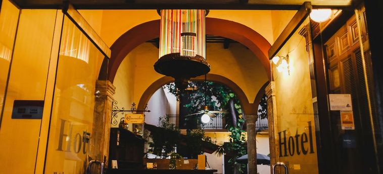 Hotel Santiago Trinidad Merida Merida: Foto 