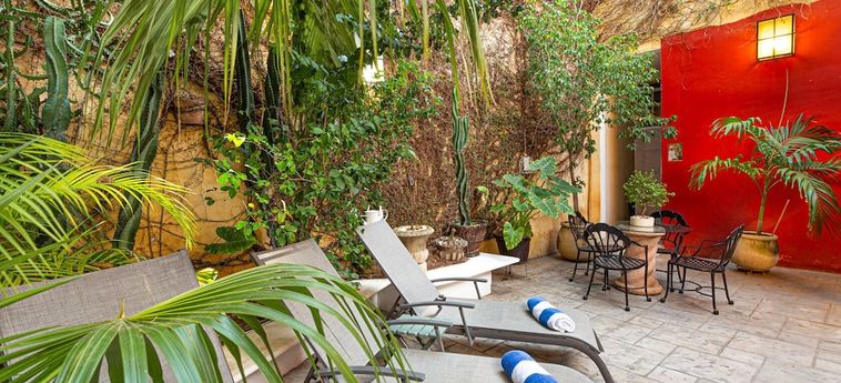 Viva Merida Hotel Boutique Merida: Foto 