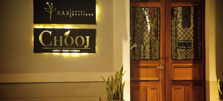 Ya'ax Hotel Boutique Merida: Foto 