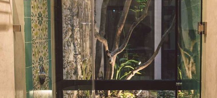 Treehouse Boutique Hotel - Adults Only Merida: Foto 