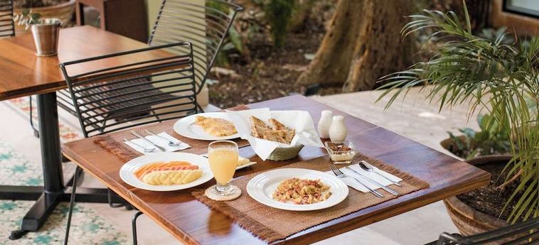 Treehouse Boutique Hotel - Adults Only Merida: Foto 