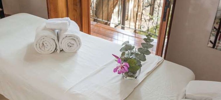 Treehouse Boutique Hotel - Adults Only Merida: Foto 