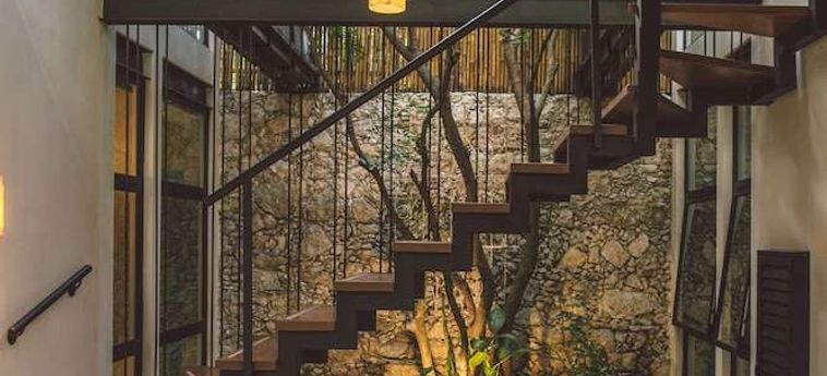 Treehouse Boutique Hotel - Adults Only Merida: Foto 