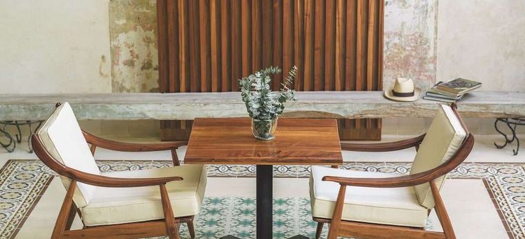 Treehouse Boutique Hotel - Adults Only Merida: Foto 
