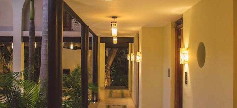 Treehouse Boutique Hotel - Adults Only Merida: Foto 