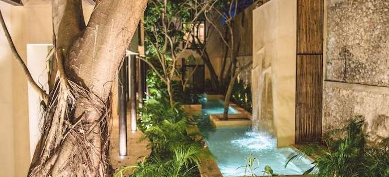 Treehouse Boutique Hotel - Adults Only Merida: Foto 