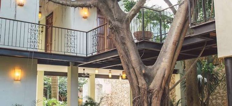 Treehouse Boutique Hotel - Adults Only Merida: Foto 