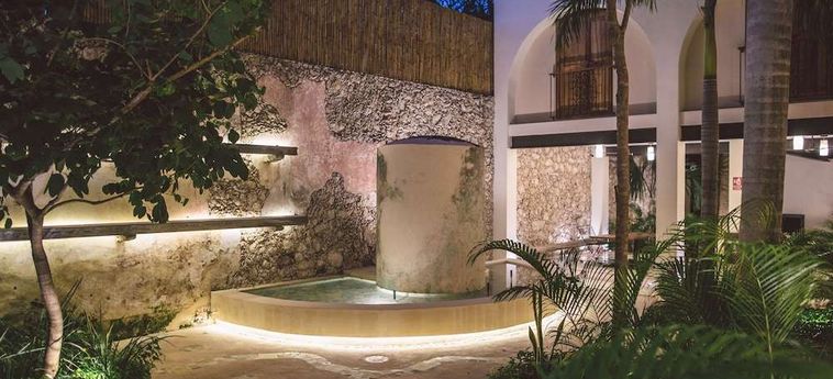 Treehouse Boutique Hotel - Adults Only Merida: Foto 