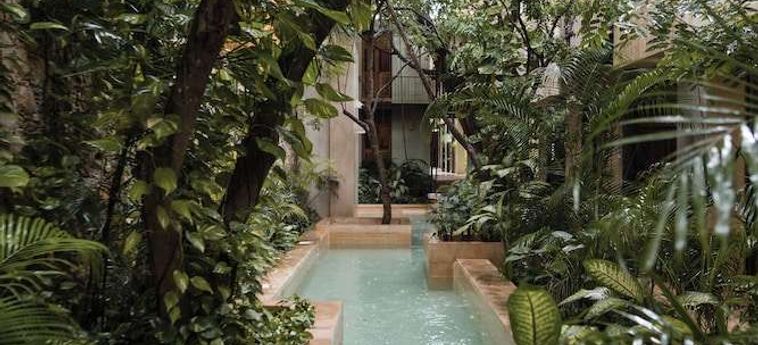 Treehouse Boutique Hotel - Adults Only Merida: Foto 