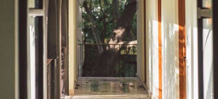 Treehouse Boutique Hotel - Adults Only Merida: Foto 