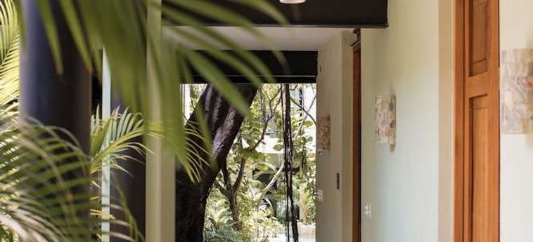 Treehouse Boutique Hotel - Adults Only Merida: Foto 