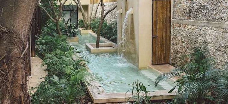 Treehouse Boutique Hotel - Adults Only Merida: Foto 
