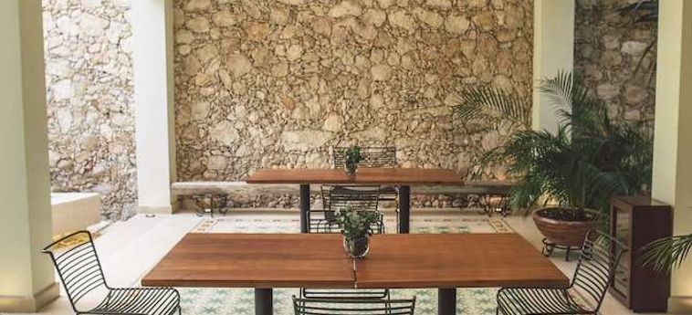 Treehouse Boutique Hotel - Adults Only Merida: Foto 