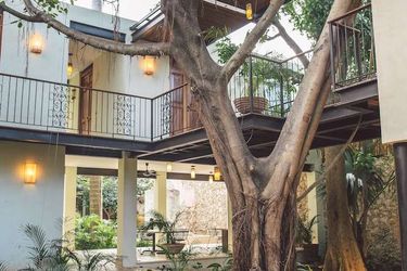 Treehouse Boutique Hotel - Adults Only Merida: Photo 