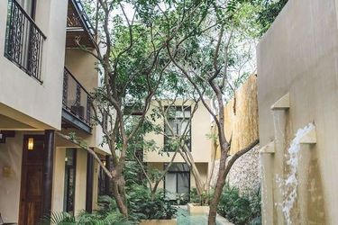 Treehouse Boutique Hotel - Adults Only Merida: Photo 